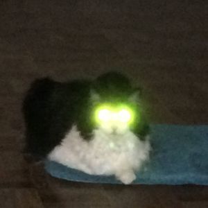 Meet your Posher, Cathy